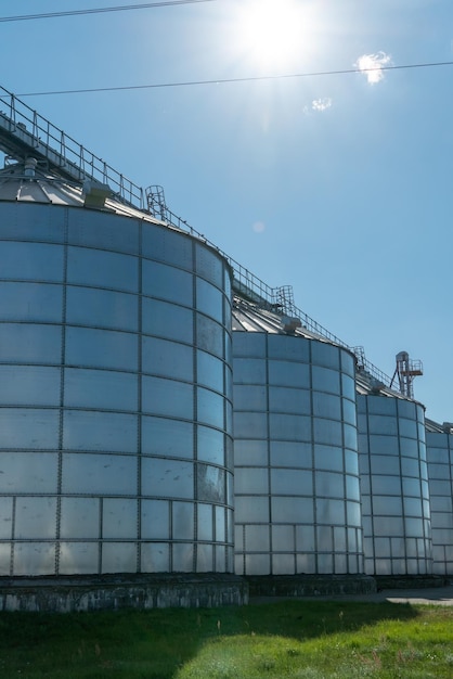 Silver silos on agro manufacturing plant for processing drying cleaning and storage of agricultural products flour cereals and grain Large iron barrels of grain Granary elevator