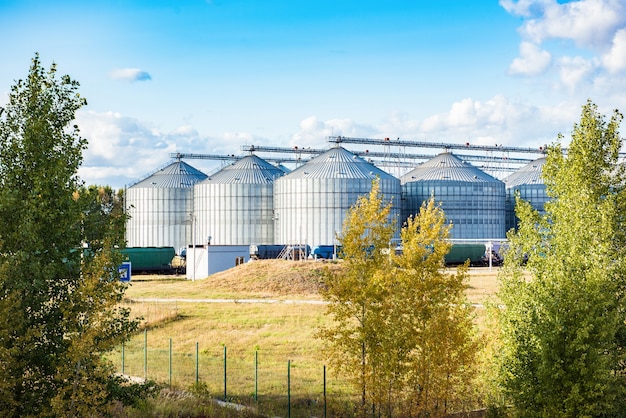 Silver silos on agro manufacturing plant for processing drying cleaning and storage of agricultural products