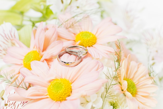 Silver wedding rings on pink gerbera flowers