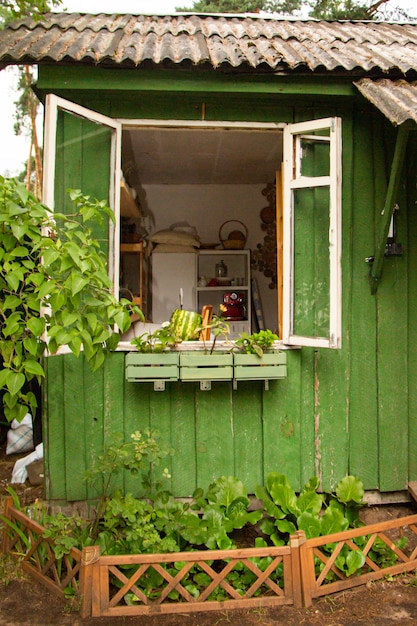 Simple cottage and well on backyard in village