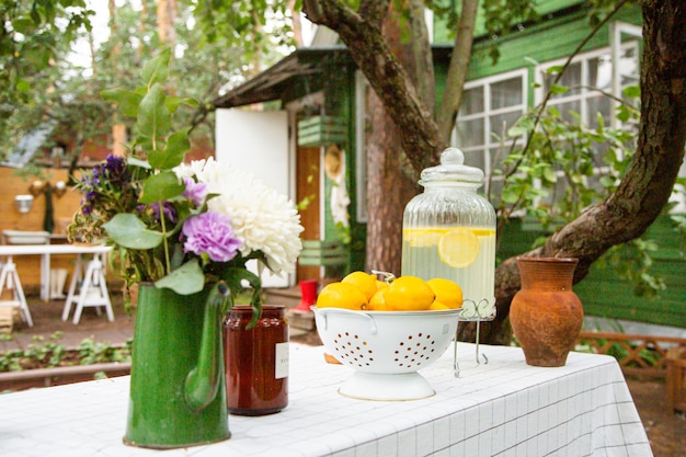 Simple cottage and well on backyard in village