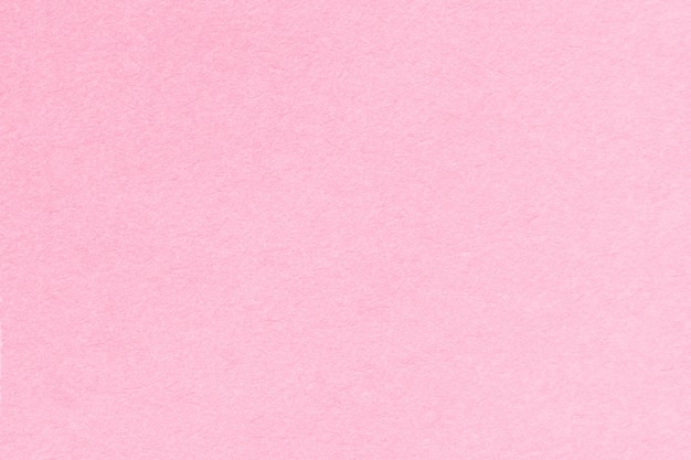 Simple flamingo pink background