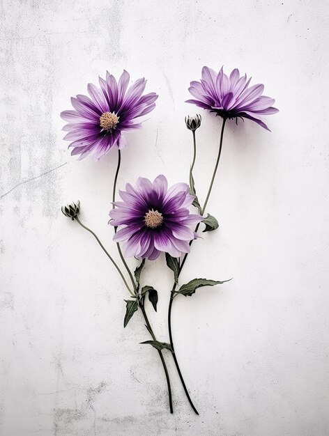 a simple flower on a white background in nostalgic minimalism