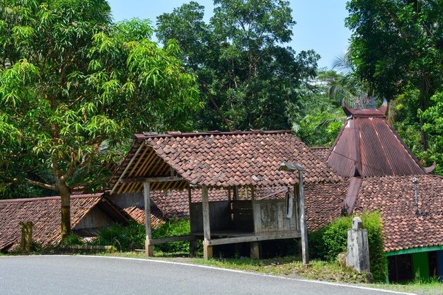 Simple house in the middle of natural forest