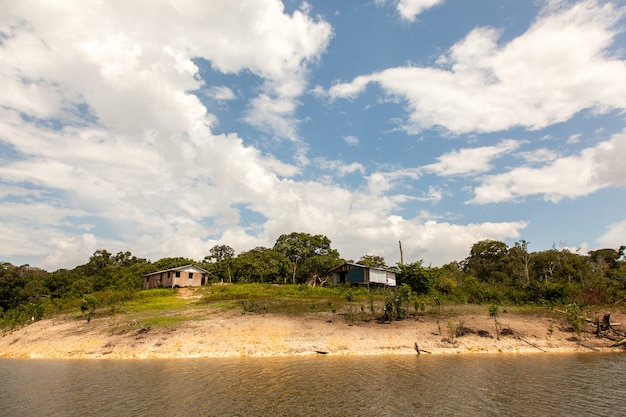 Simple houses on Amazon river island