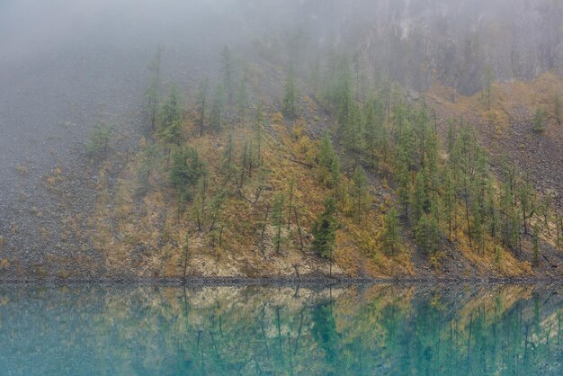 写真 霧の中の静かなターコイズブルーの湖に森の丘が反射するシンプルな瞑想的な風景鏡山の湖に映る色褪せた秋のモミの苔むした海岸高山湖の秋の海岸