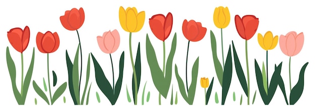 Простая минималистская иллюстрация красных тюльпанов с зелеными листьями на белом фоне