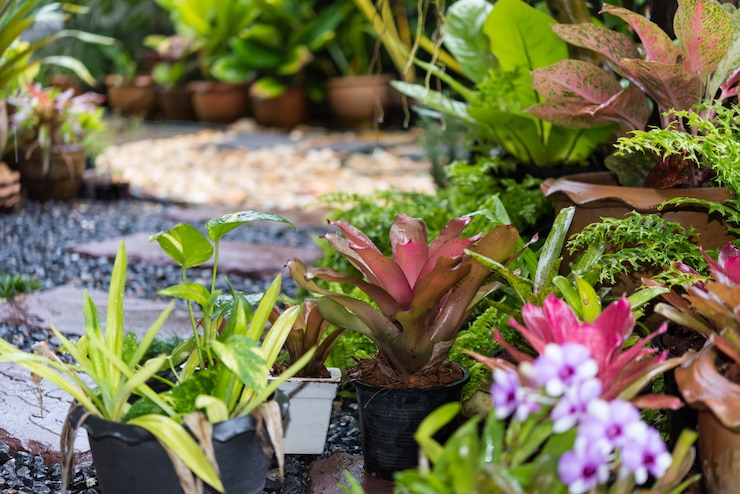 Photo simple pathway in home garden landscape