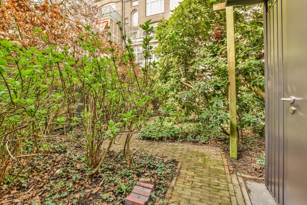 Simple patio with vegetation inside