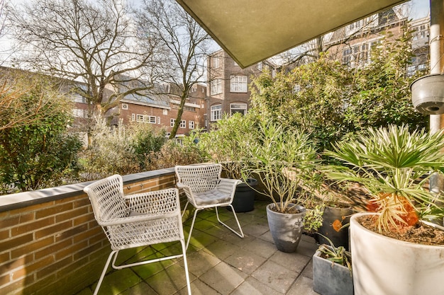 Simple patio with vegetation inside