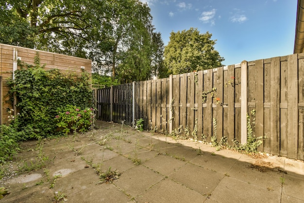 Photo simple patio with vegetation inside