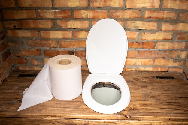 A simple village toilet with a huge roll of toilet paper