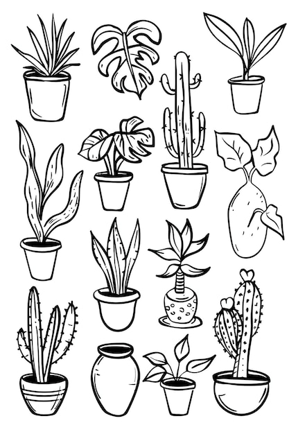 Simplified drawings of popular plants like monstera succulents and cacti for a monochromatic boho