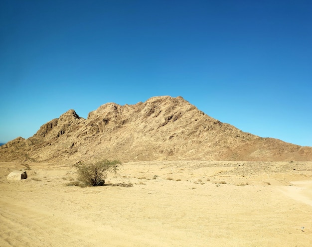 Sinai desert backgound with mountains deserted landscape