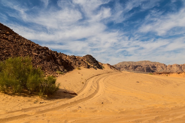 Sinai desert surrounded by mountains