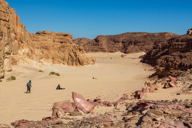 Sinai peninsula Egypt Tourists in a desert in Sinai Yellow and orange sandstone