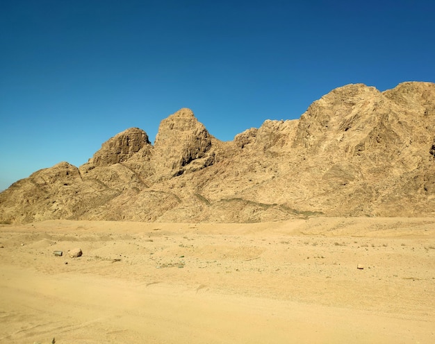 Sinai woestijn achtergrond met bergen verlaten landschap