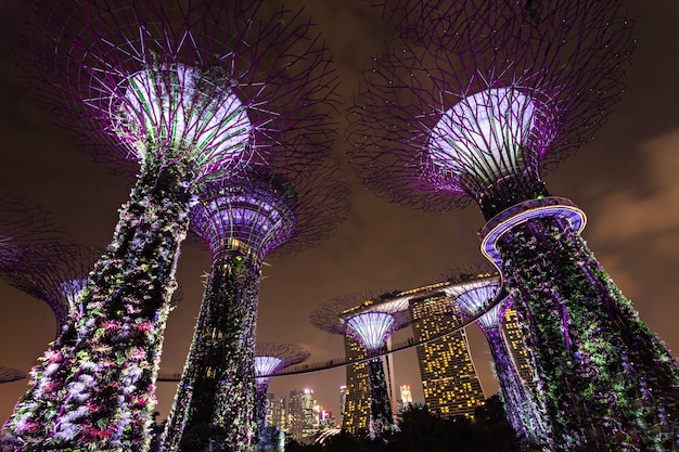 SINGAPORE - 15 OKTOBER 2014: Gardens by the Bay is een park van 101 hectare in het centrum van Singapore.