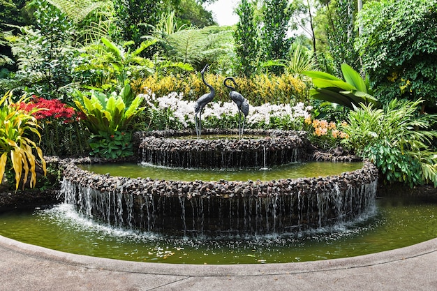 SINGAPORE - 17 oktober 2014: The National Orchid Garden, gelegen in de Singapore Botanic Gardens.