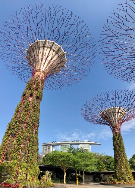 シンガポール - 8月31日 - 湾の近くの庭園と高層ビルの景色 - マリーナ・ベイのビジネスの景色