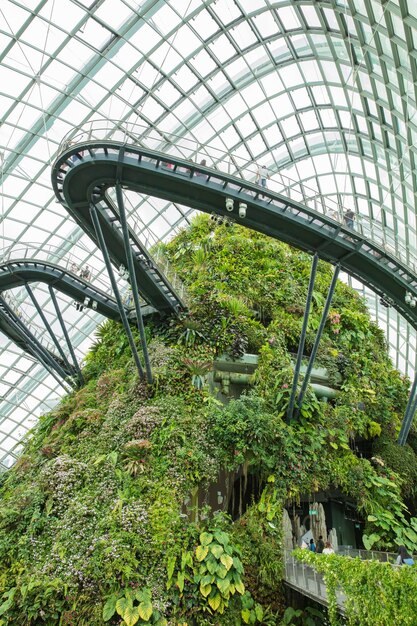 Photo singapore - february 18, 2017: flower dome at gardens by the bay, singapore