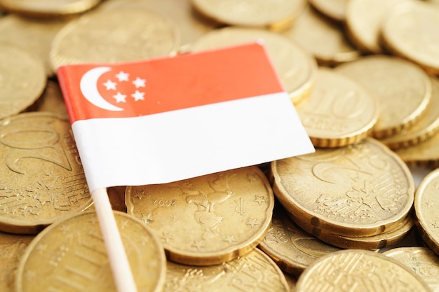 Photo singapore flag on coins background finance and accounting banking concept