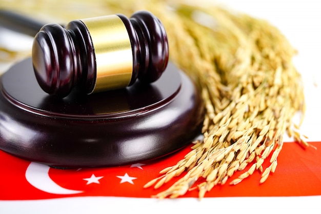 Singapore flag and Judge hammer with gold grain from agriculture farm