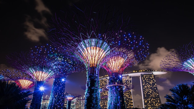 사진 싱가포르의 웅장하고 영광스러운 도시 정원.
