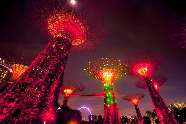 SINGAPORE january 08 2014 Urban landscape of Singapore Night view of Supertree Grove at Gardens by the Bay