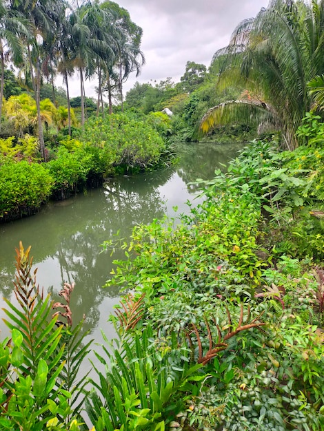 Foto singapore jewel garden all'aeroporto di changi