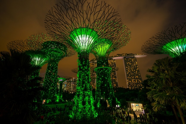 Singapore Night Skyline at Gardens by the Bay