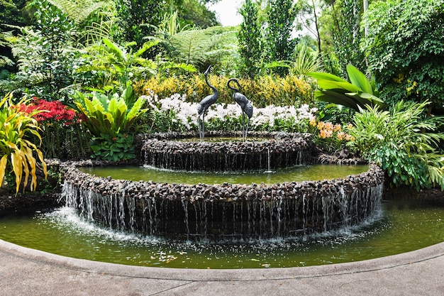 SINGAPORE - OCTOBER 17, 2014: The National Orchid Garden, located within the Singapore Botanic Gardens.