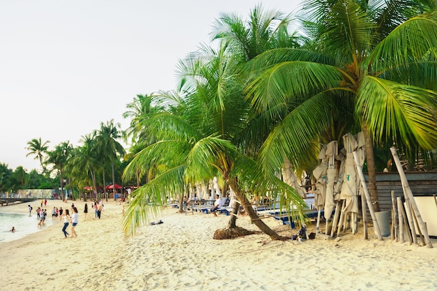 Singapore, Singapore - 1 maart 2016: Siloso Beach in het Sentosa-eilandresort Singapore. Het is een kunstmatig strand met zand afkomstig uit Maleisië en Indonesië.