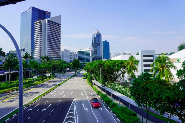 Сингапурские улицы дома и пальмы небоскребы