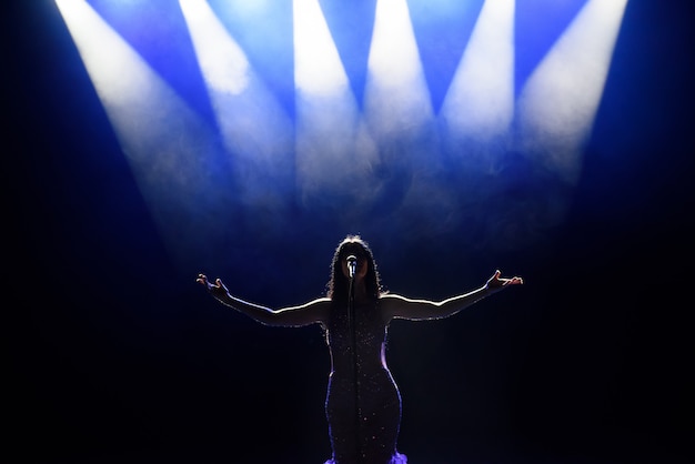 Photo singer performing on stage with lights. view from the auditorium