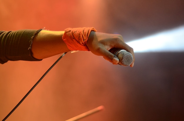 a singers hand holding a mic