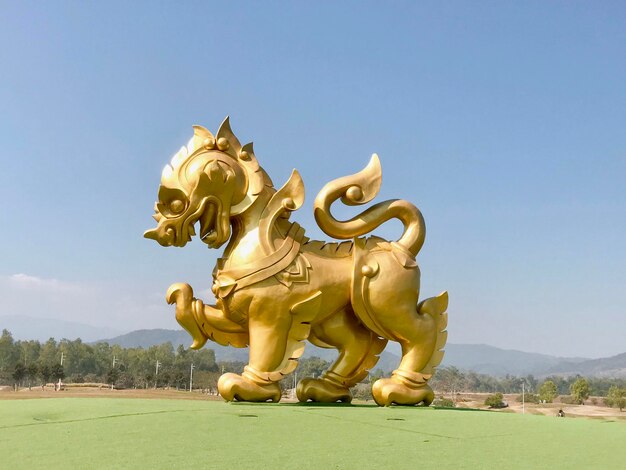 Singha park chiengrai