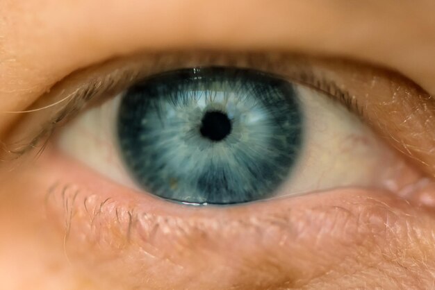 Single blue female eye close up