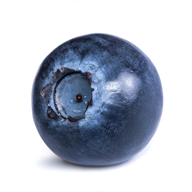 Single blueberry isolated on white background Macro photo