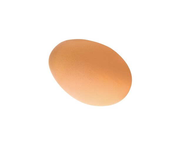 Single brown chicken egg