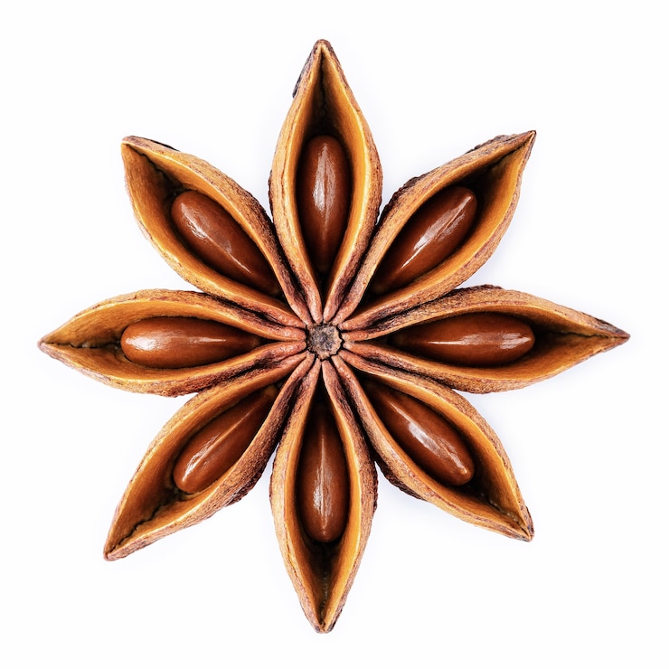 Photo single chinese star anise isolated on white background.