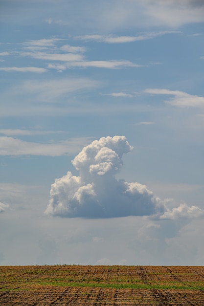 農地の上の青い空に単一の雲