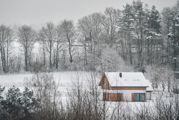 Single cottage house in the forest House exterior design idea