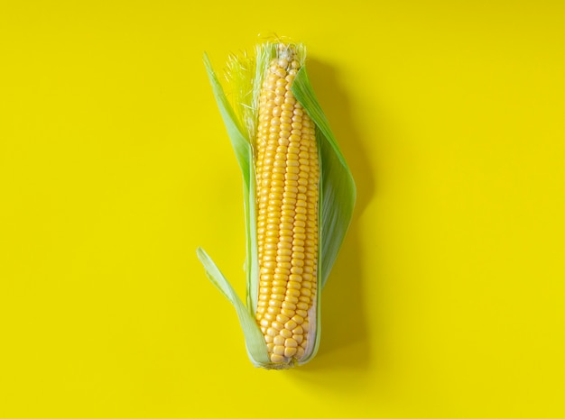 Single ear of corn on yellow background