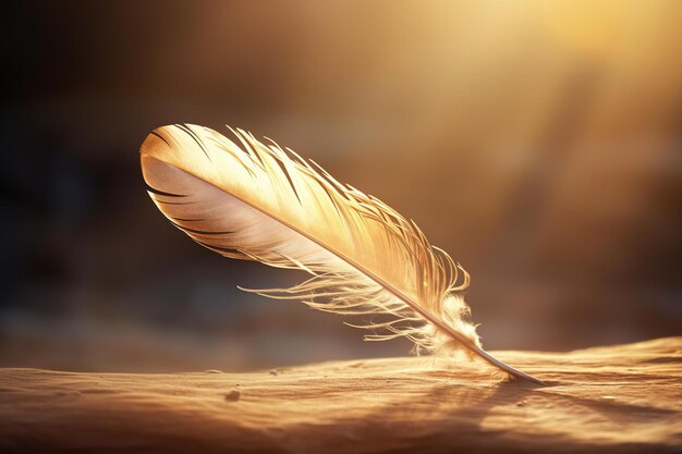 A single feather tumbling in the air against a softly lit backdrop