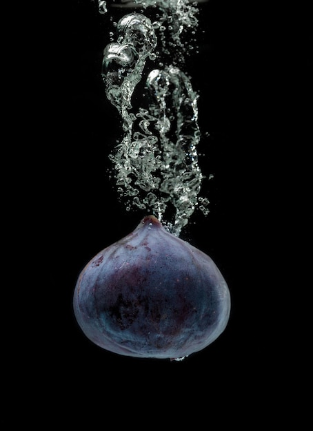 Single fig sinking in water isolated against black background