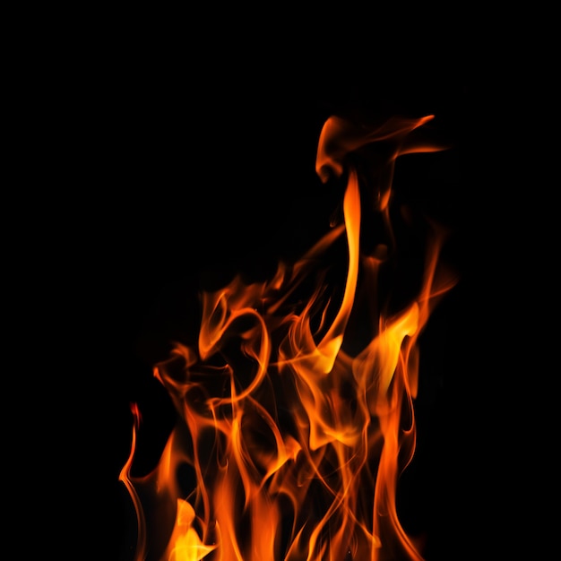 single fire flame on black background in high resolution.