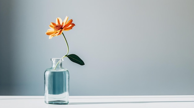 A single flower in a glass vase on a white table