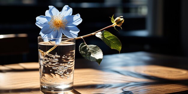 A single flower in a glass of water on a table