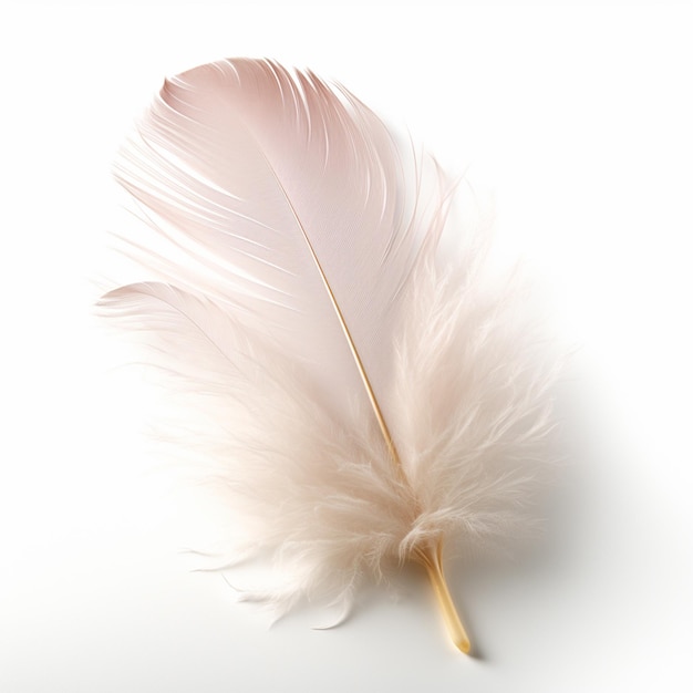 White fluff feather